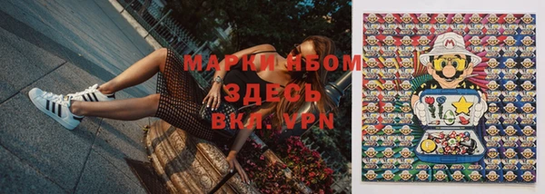 таблы Новодвинск