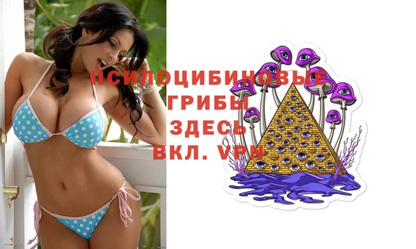 твердый Аркадак