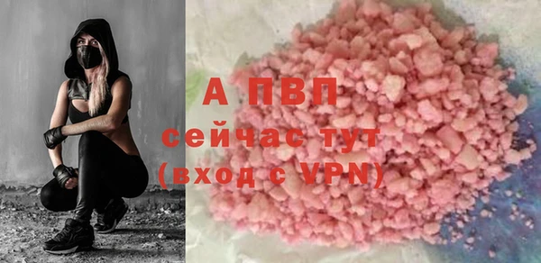 твердый Аркадак