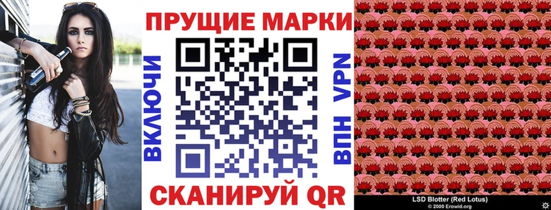 где можно купить   Полевской  Марки N-bome 1,5мг 