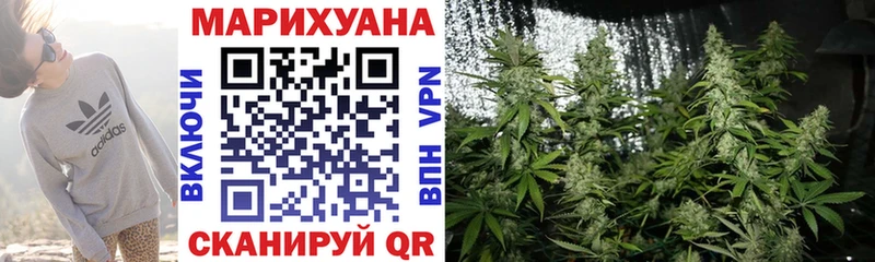 Бошки марихуана SATIVA & INDICA купить наркотики сайты Полевской